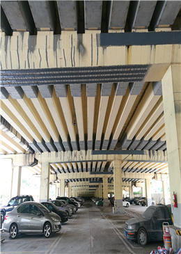 1584412134397770.jpg 1、东南西环东圃互通立交南主线桥等2座四类桥梁加固维修工程 (3).jpg