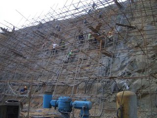t016b1417fa70abaab8.jpg